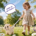 thumbnail image 5 of Gelomee 16 Pcs Puppy Stuffed Animal for Boys, Plush Dog Toys for Girls Kids , Birthday Gift for Boys 3-8 Years Old, 5 of 9