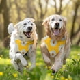 thumbnail image 3 of Dog Bandana 2 Pack,Yellow Daisy Flower White Blooms Pattern Bandanas for Dogs,Cat Bandana,Small/ Large Dog Bandana 2 Size,Dog Bandanas Girl Boy, 3 of 6