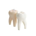 thumbnail image 2 of Milue Large Teeth Candle Silicone Mold for Handmade Desktop Decoration Candle Mould, 2 of 8
