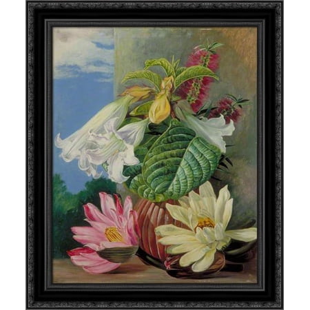 Flowers Cultivated in the Botanic Garden, Rio Janeiro, Brazil 20x24 Black Ornate Wood Framed Canvas Art by North, Marianne