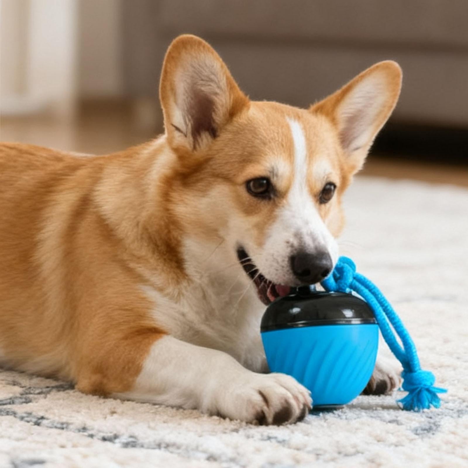 Fzaqwen Interactive Dog Toy Ball Active Rolling Automatic Smart Rolling Pet Toy Ball Blue