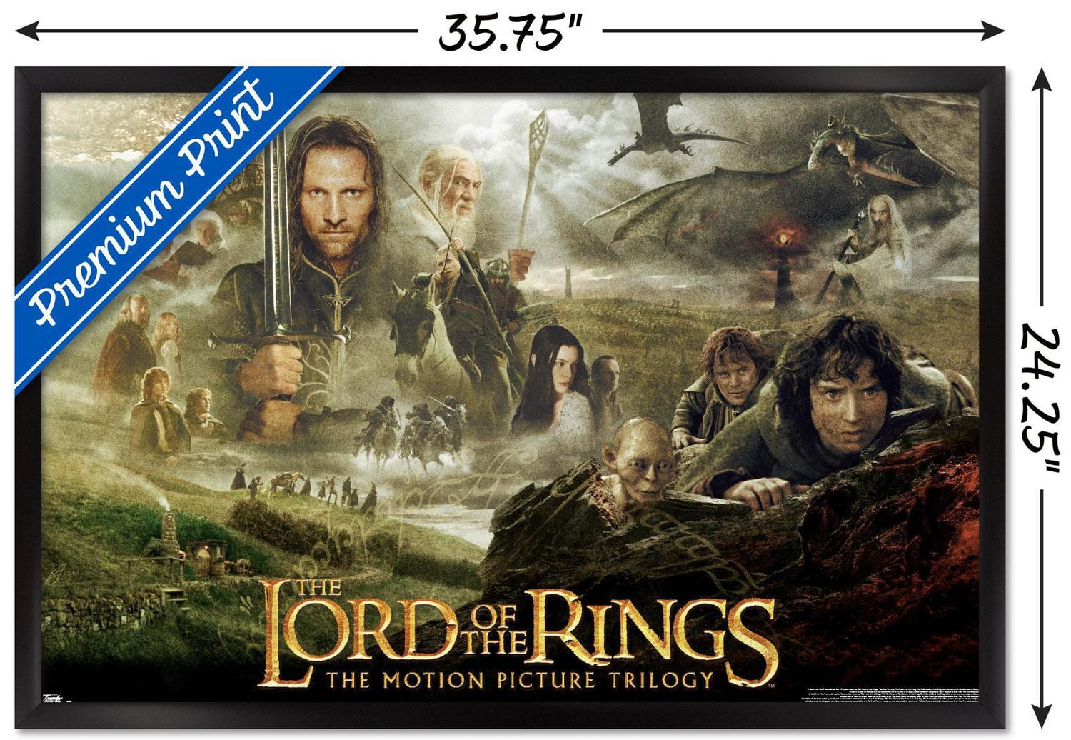 The Lord of the Rings: The Motion Picture Trilogy Wall Poster, 22.375" x 34" Framed