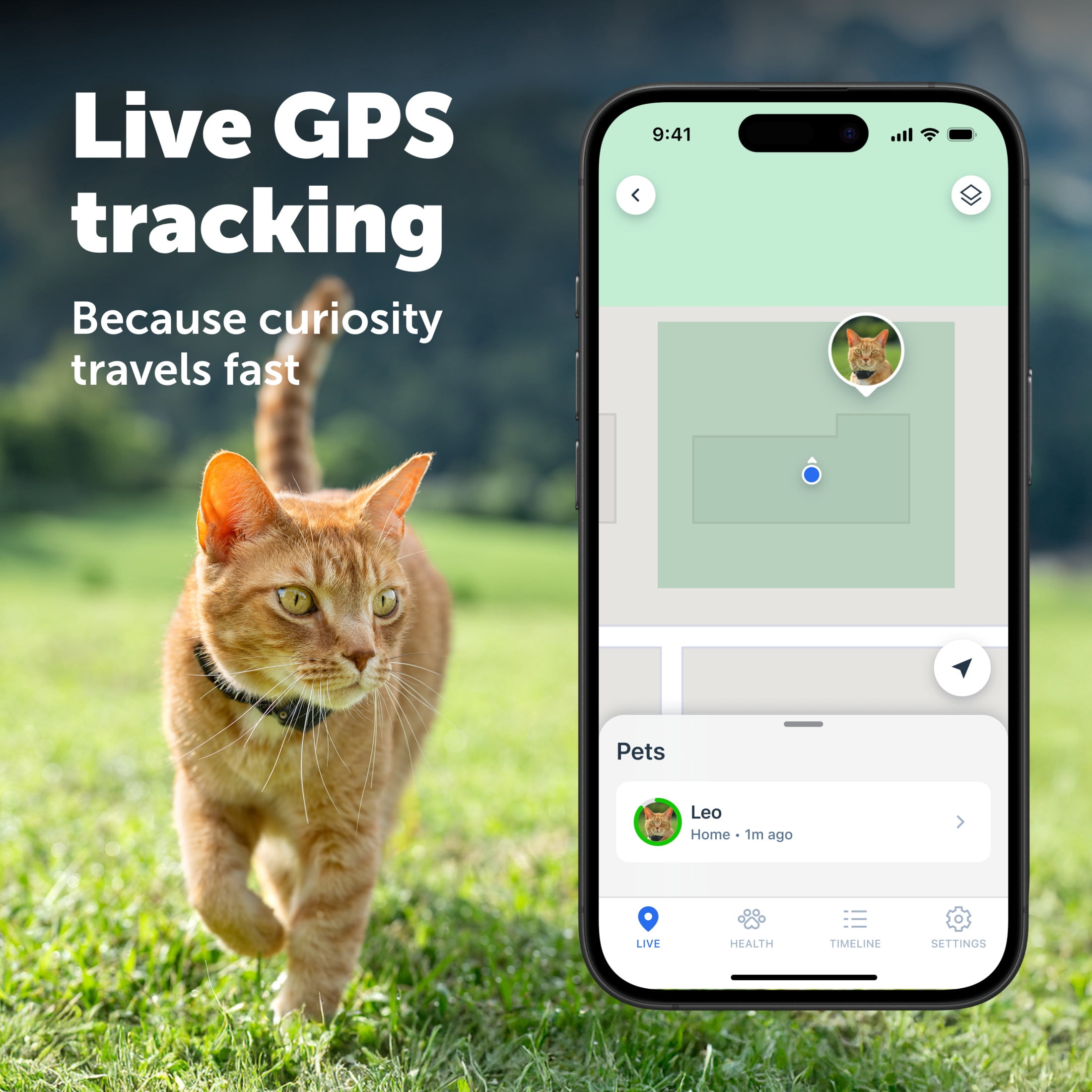 PetSafe GPS Cat Tracker, Live GPS Tracking, Subscription Required | Unlimited Safe Zones, Immediate Escape Alerts  Distance and rest time - Breakaway Collar  Up to 15-Day Battery Life