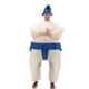 thumbnail image 3 of Traje inflable de sumo japonés para niños y adultos, traje inflable de dibujos animados, ropa de lucha de sumo multicolor, 3 of 5