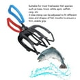 thumbnail image 4 of Pinza de Pescado, Abrazadera de Control de Pescado Ajustable Ergonímico Ligero 3 Dientes para Pescado de Agua Dulce, 4 of 7