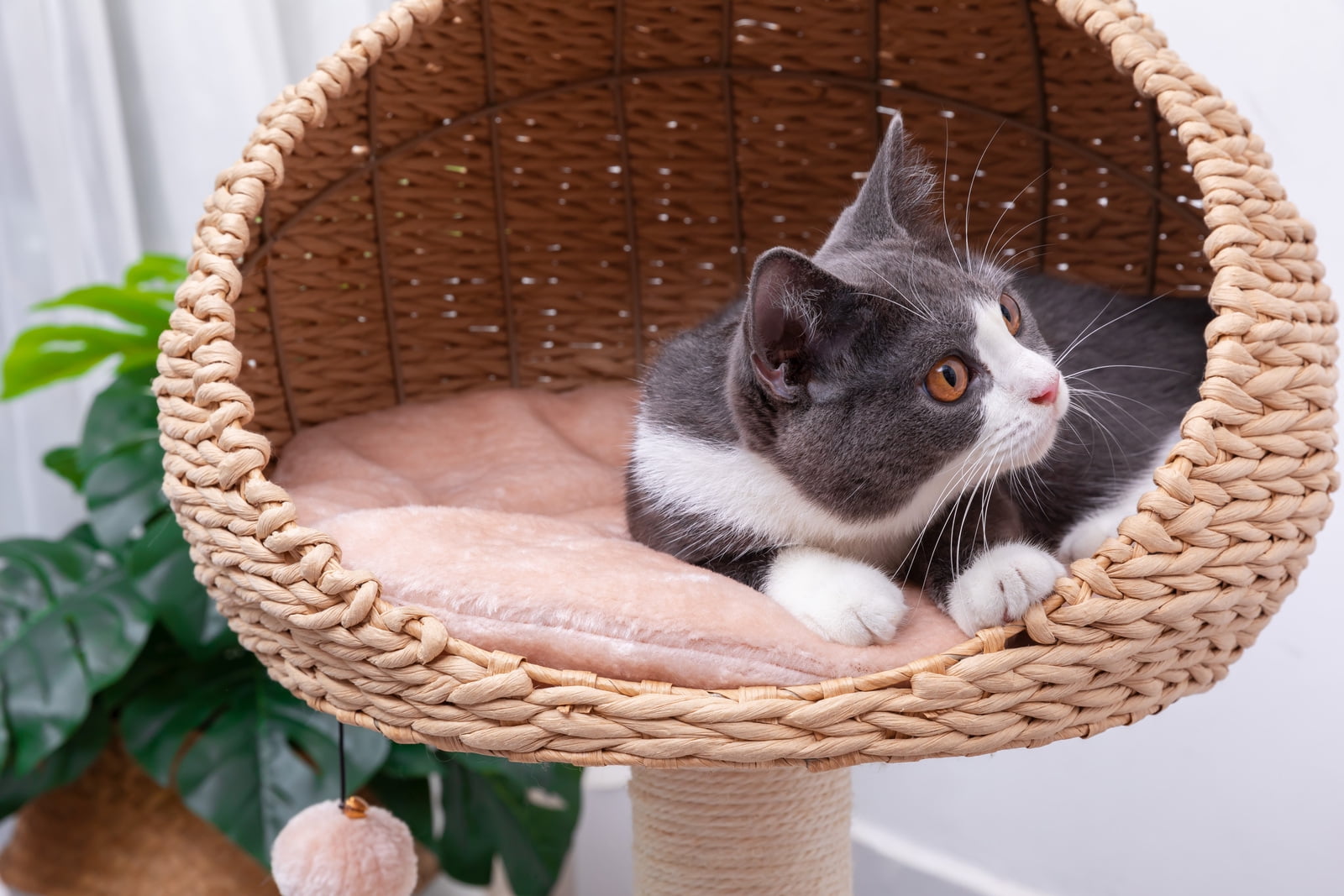 Petpals 29"High 2-Lvl Handwoven Paper Rope Hoodie Cat Basket Bed with Sisal Scratching Post, Beige