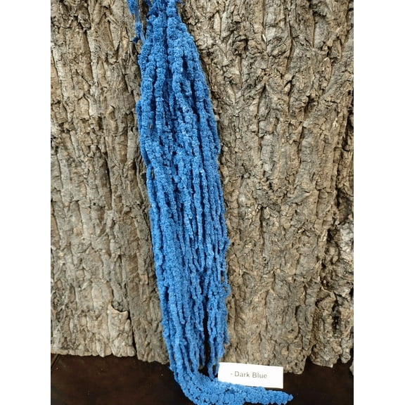 Preserved Amaranthus- Blue