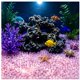 thumbnail image 5 of Guijarros de jardín, acuario Piedras decorativas luminosas 1000pc Gránulos plásticos que brillan en la oscuridad para acuario Patio de peces Patio de paseo Paisajismo exterior, 5 of 6