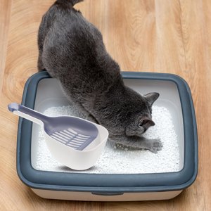 CTIRCHIU 1Set Plastic Cat Litter Scoop with Dustpan Container for Centralized Cat Waste Disposal