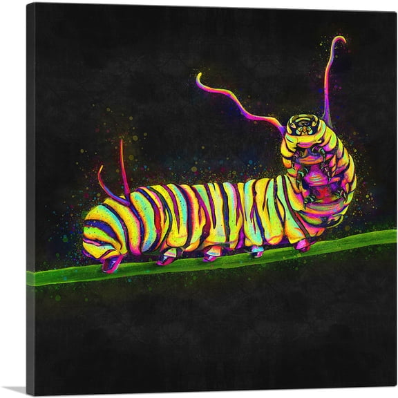 ARTCANVAS Caterpillar Insect Animal Canvas Art Print - Size: 18" x 18" (0.75" Deep)