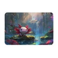 thumbnail image 1 of Balery Pond Cute Axolotl Felpudo de franela, resistente a las manchas y a la decoloración, para uso interior y exterior, fácil de limpiar, 40 x 60 cm, 1 of 7