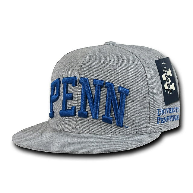 Pennsylvania Quakers Game Day Fitted Hat (Gray)