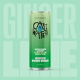 thumbnail image 5 of Caliwater Organic Cactus Water Ginger Lime, Coconut Water Alternative, Natural Plant Based Hydration, Skin Care, Electrolyte Drinks, Flavored Waters, 12-Pack 12oz/can 6g Sugar, 30 Calories,, 5 of 9