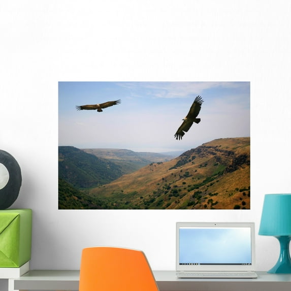 Vulture Wall Mural by Wallmonkeys Peel and Stick Graphic (24 in W x 16 in H) WM148674