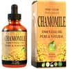 Chamomile Essential Oil (1 oz), Premium Therapeutic Grade, 100% Pure and Natural, Perfect for Aromatherapy, Relaxation, Improved Mood and Much More by Mary Tylor Naturals