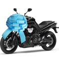 thumbnail image 3 of Car Bow HQJAXJ, gigante, impermeable, para regalo, 20 pulgadas, decoración azul cielo, 3 of 5