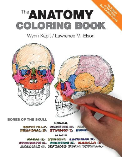 Netter's Anatomy Coloring Book, (Paperback) - Walmart.com