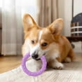 thumbnail image 6 of Ikohbadg Interactive Dog Toy for Teeth Grinding Training, Self-Play Tension Ring, Durable Food Grade Plastic, Stimulates Curiosity, Relieves Anxiety, Enhances Pet Communication, 6 of 6