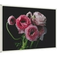 thumbnail image 4 of Kate and Laurel Mood Dark Pink Ranunculus Flower Bouquet Framed Canvas Wall Art by Kristybee 33 x 23 Sylvie Beaded White, Modern Contemporary, Still Life, Nature Art for Wall Decor, Living Room, 4 of 8