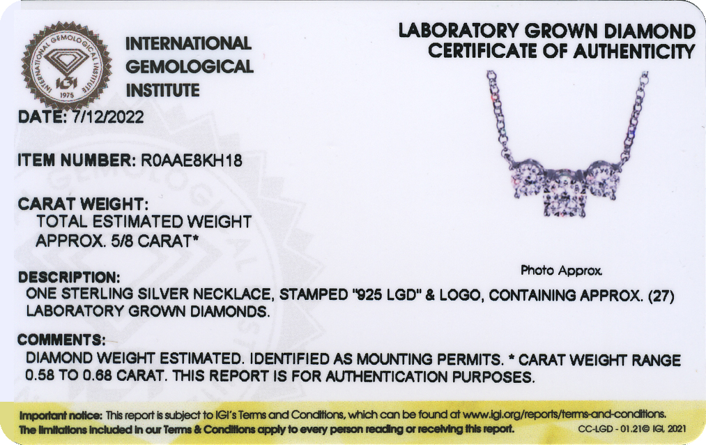 Forever Facets 5/8 CT TW Lab Grown Diamond Necklace in Platinum over Sterling Silver, Adult Female