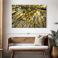 thumbnail image 3 of Elephant Stock Colorado Aspen Trees Wall Art - Horizontal Canvas Wall Art - Living Room Wall Decor - Floral And Botanical Canvas - Black And Gray Decor - 48" x 32", 3 of 8