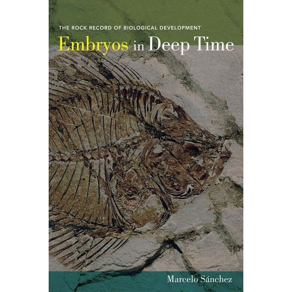 Embryos in Deep Time : The Rock Record of Biological Development (Edition 1) (Hardcover)