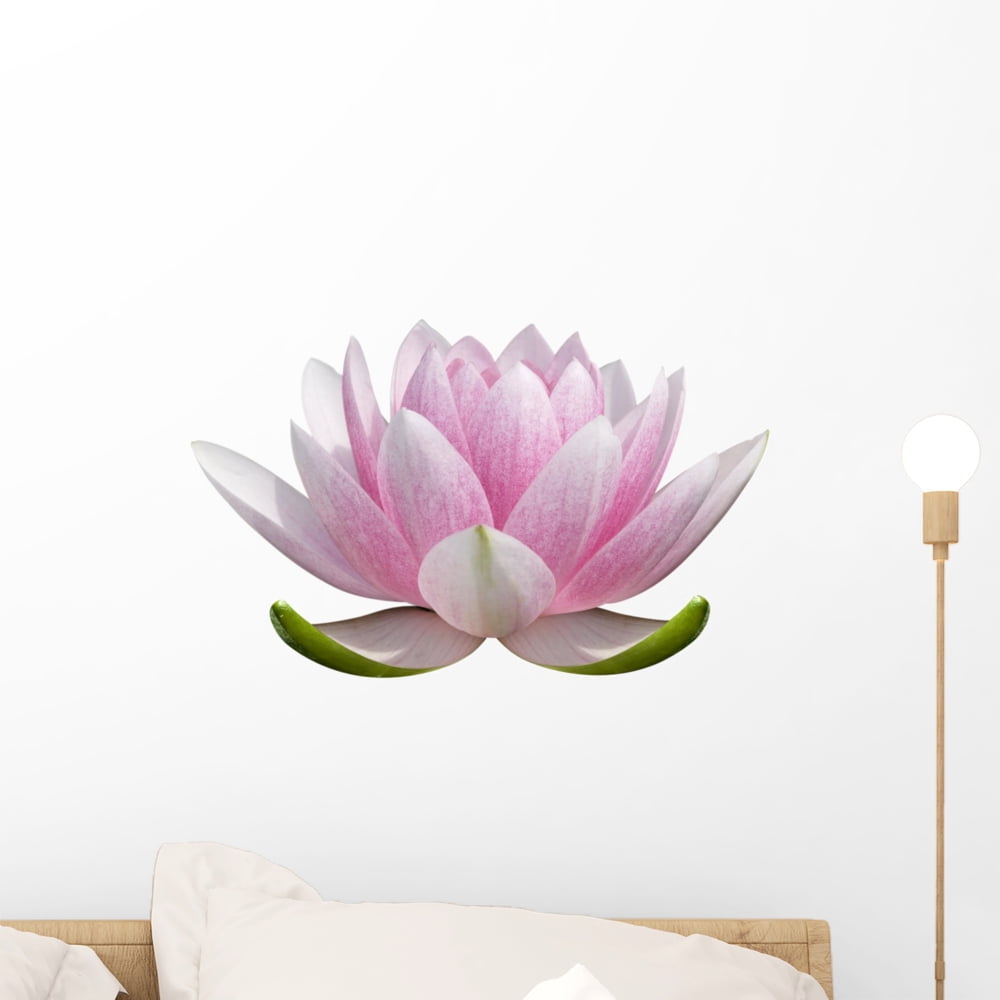 White Lotus Flower Wall Decal Sticker, Wallmonkeys Peel & Stick Vinyl