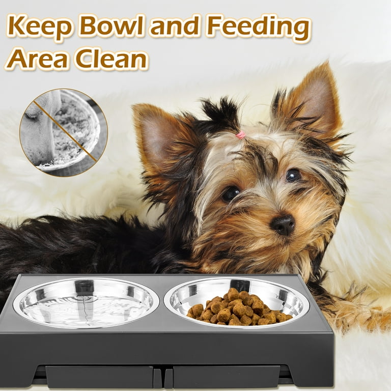 Dropship Elevated Dog Bowls For Medium Large Sized Dogs, Adjustable Heights  Raised Dog Feeder Bowl With Stand For Food & Water to Sell Online at a  Lower Price