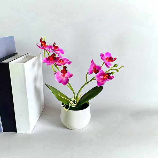 Gwong Decoración hogareña 1 Set Fake Flowe Eco-Friendly Fácil de limpiar Simulación de tela Plantas en maceta para el hogar Gwong 21061383