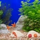 thumbnail image 4 of 48 piezas de mini animales marinos decorativos, adornos de micro paisajes, decoración de animales marinos de resina (), 4 of 7