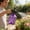 Purple383, variant on Pneumatic Water Sprayer, 4L Capacity, Household Watering and Cleaning Sprayer, Transparent Atomizing Kettle for Efficient Gardening and Home Use
