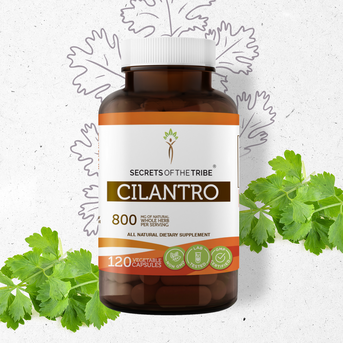Secrets of the Tribe Cilantro 120 Capsules, 400 mg, Organic Cilantro