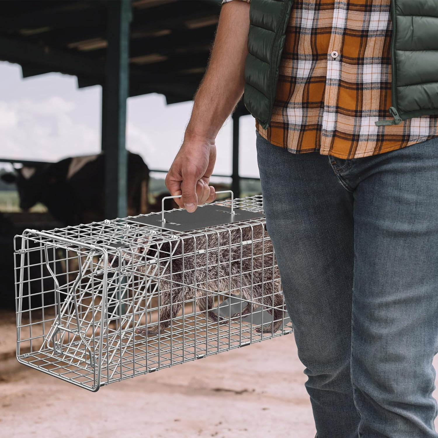 ANHXN Humane Live Animal Cage TrapSteel Catch Release Rodent Cage for Rabbits, Groundhog, Stray Cat, Squirrel, Raccoon, Mole, Gopher, Chicken, Opossum, Skunk, Chipmunk