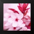 thumbnail image 2 of PhotoINC Studio 12x12 Black Modern Framed Museum Art Print Titled - Pink Blossom, 2 of 5