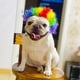 thumbnail image 5 of Pelucas divertidas para cosplay de perros y gatos, juguetes para mascotas, disfraces para fiestas, festivales, pelucas para perros medianos y grandes, ropa para mascotas., 5 of 7