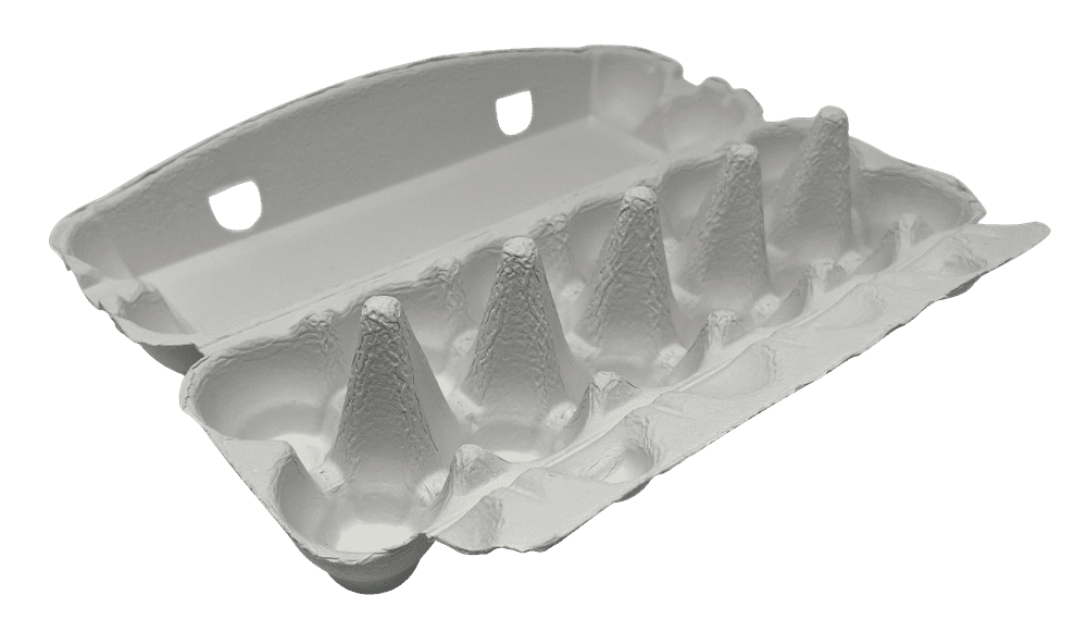 36 Premium Egg Cartons 12 Hole One Dozen White Small-Jumbo Flat Top