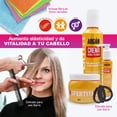 thumbnail image 5 of Kit Argan Nefertiti Mascarilla, Crema para Peinar y Bioelixir | Nutre, Hidrata y Revitaliza el Cabello | Incluye Peine de Corte, Donas para Cabello y Fibra Exfoliante Alfamar, 5 of 5