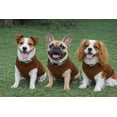 thumbnail image 3 of Chaleco polar JACKO & CO para perros, suave y cálido, para pequeños y medianos, 3 of 8