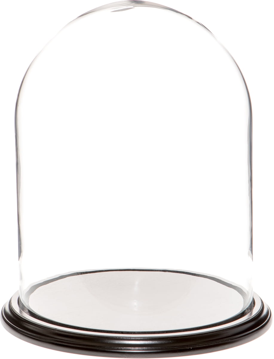 Plymor 11.75" x 15" Glass Display Dome Cloche Black Wood Veneer Base 