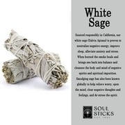 Ancient Veda 2 Pack White Sage 4 inch Smudge Stick Bundles & Smudge Guide for Smudging, Cleansing