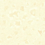 Natural Elements Wild Thing Wallpaper