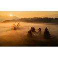 thumbnail image 2 of Krivec, Ales 32x21 Black Ornate Wood Framed with Double Matting Museum Art Print Titled - Morning Mist, 2 of 4