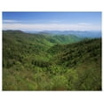 thumbnail image 1 of Great BIG Canvas | Rolled Adam Jones Poster Print entitled NC, Great Smoky Mountains National Park, Early spring view of Thomas Divide, 1 of 4