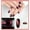 Red, variant on Cat Eye Top Coat Gel Nail Pen 5ml, Bright Shiny Nail Polish, LED Lamp Curing, Long Lasting 3 Weeks, Easy Removal, DIY Nail Art, Home Salon Use, Women, Birthday Gift, Holiday Makeup Organizers