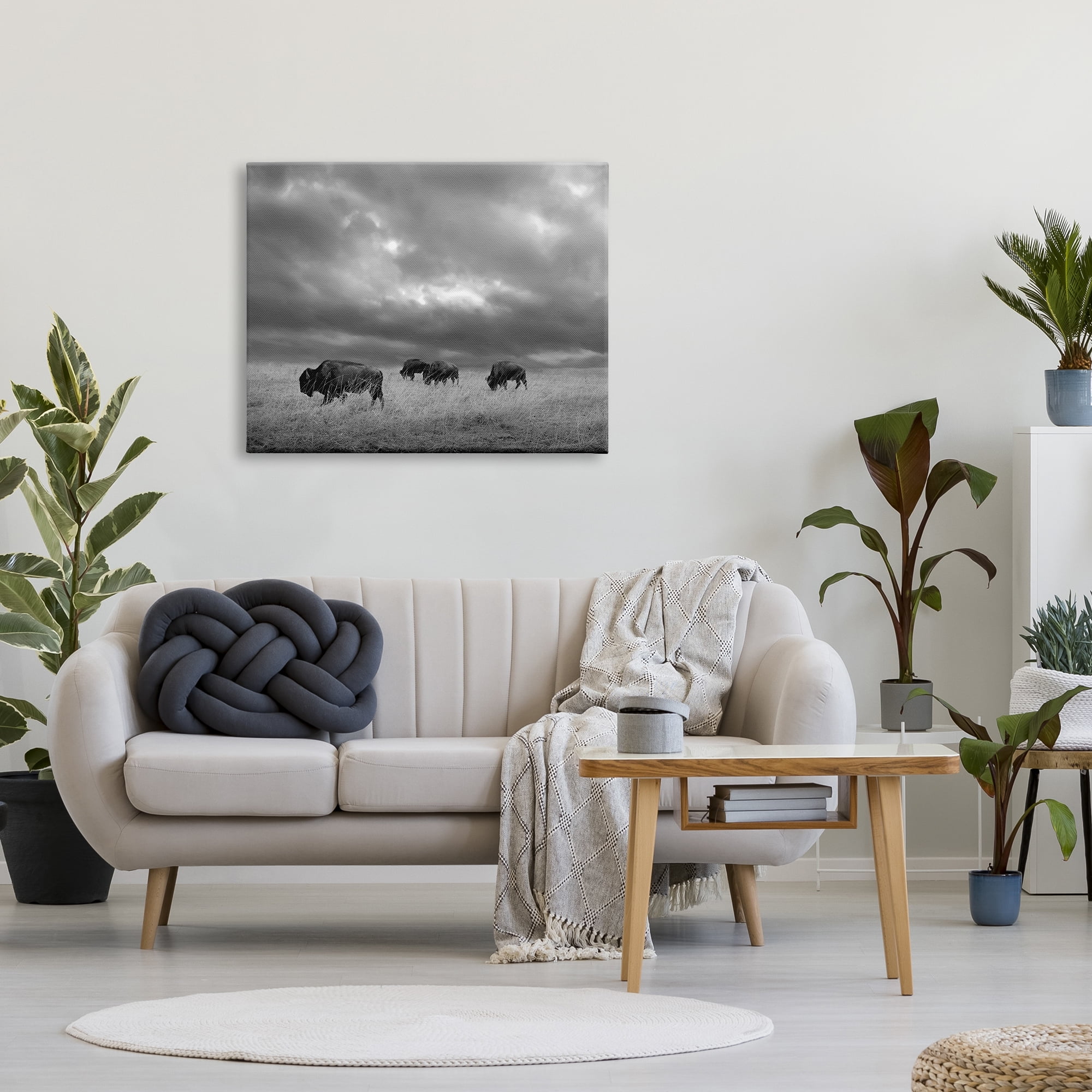 Stupell Industries Bison in Cloudy Field Landscape Photography Gallery Wrapped Canvas Art Print Wall Art, 40 x 30