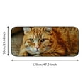 thumbnail image 5 of Qinduosi Orange Cat Portrait Doormat, Home Decor, Welcome Mat, Funny Doormat, Front Door Mat, Welcome Doormat,Indoor Doormat,Front Back Door Mat 19.68*47.24 in, 5 of 6