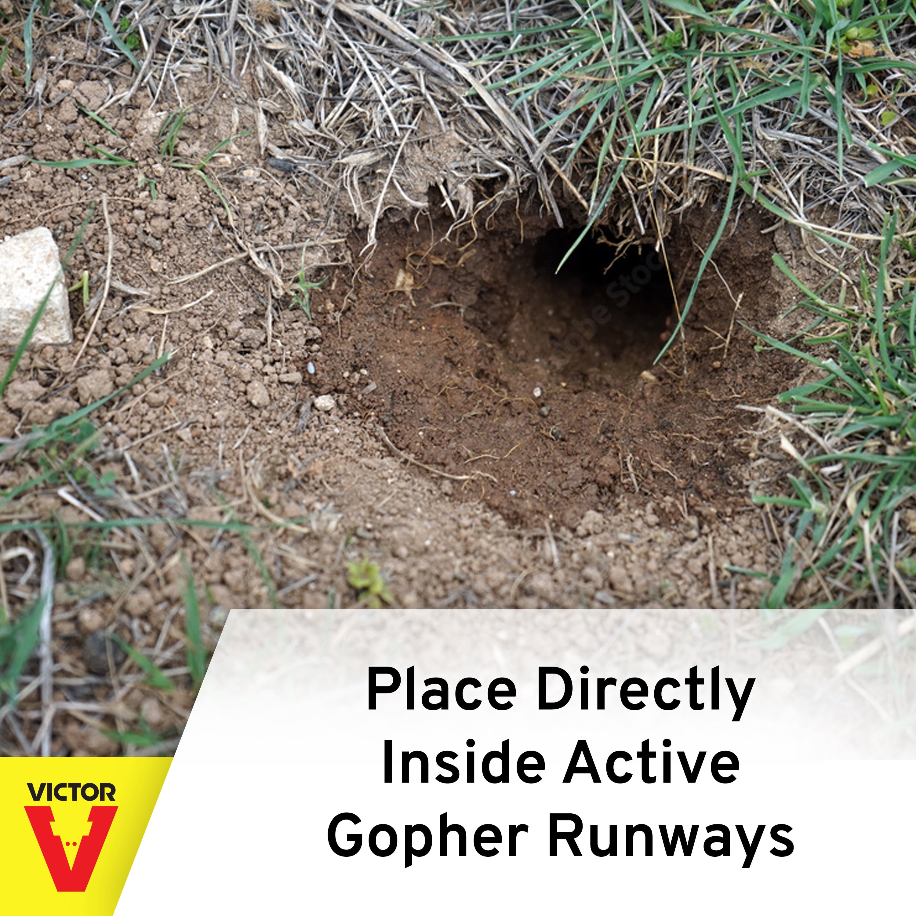 Victor The Black Box Gopher Trap