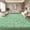 mint green, variant on Tuzlier Shag Area Rug, 3ft x 5ft Soft Fluffy Area Rugs for Living Room Bedroom Decor Carpet, Mint Green
