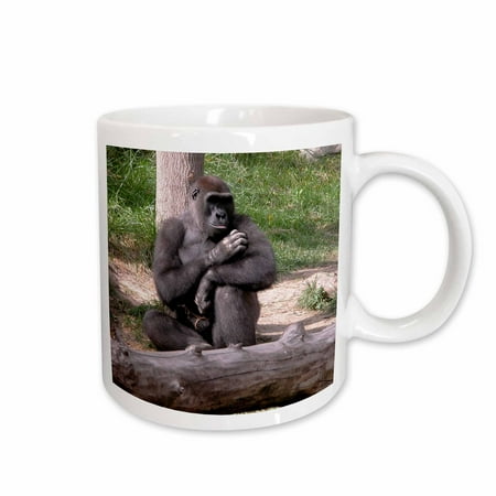 

3dRose Gorilla Touching Fur Ceramic Mug 15-ounce