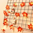 thumbnail image 4 of Gwong Electrónica Navidad String Light Impermeable Decorativo Día de Acción de Gracias Día de Acción de Gracias Simulación Hoja de arce LED Luz de hadas para la chimenea, 4 of 6